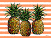 Valera Pineapples Horizontal - Coral Stripe Poster Print - Paul Brent