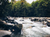 Stream 16 Poster Print - Rachel Lee
