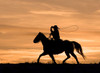 Run Through The Sunset Poster Print - Carol Walker