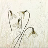 Springtime! Poster Print - Nel Talen