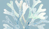 Ocean Coral On Blue Poster Print - Patricia Pinto