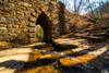 Poinsett Bridge 5 Poster Print - Will Malone
