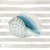 Shell On Stripes Poster Print - Patricia Pinto