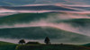 Misty Field Poster Print - Austin