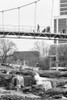 Falls Park Audience 2 Poster Print - Will Malone