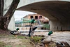 Falls Park Ducks Poster Print - Will Malone