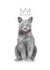 King of everything Poster Print - Balazs Solti