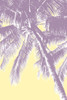 Retro Palms 3 Poster Print - Studio SEA