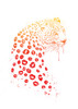 Kiss me Poster Print - Balazs Solti