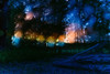 Sunset 4 Poster Print - Will Malone