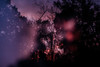 Sunset 1 Poster Print - Will Malone