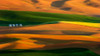 The colorful land Poster Print - Phillip Chang