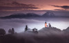 Misty morning Poster Print - Sandi Bertoncelj