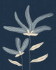 Two Flowers Poster Print - Alisa Galitsyna