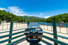 Scenic Lake Lure Poster Print - Will Malone