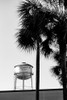 Thomasville Watertower 2 Poster Print - Will Malone