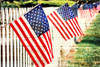 USA Fence Poster Print - Gail Peck