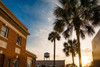 Thomasville Sunset Poster Print - Will Malone