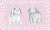 Sweet Bunnies Poster Print - Janice Gaynor