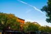 Thomasville Morning 2 Poster Print - Will Malone