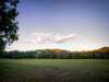 Chickamauga 7 Poster Print - Rachel Lee