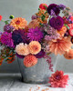 Country Blooms Poster Print - Sarah Gardner
