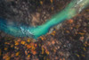 Emerald stream Poster Print - Ales Krivec