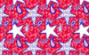 Patriotic Paisley II Poster Print - Andi Metz