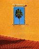 Urban texture - Tel Aviv Jaffa Poster Print - Arnon Orbach