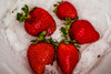 Strawberry Dance 2 Poster Print - Will Malone