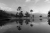 Ocoee Fog 4 Poster Print - Will Malone