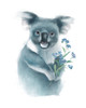 Baby Koala with Flowers Poster Print - Lucca Sheppard