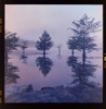 Ocoee Fog Poster Print - Will Malone