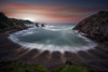 Shell Poster Print - Dueso Jorge Ruiz