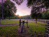 Chickamauga 2 Poster Print - Rachel Lee