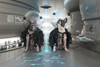 ET Dogs Poster Print - DDiArte