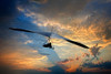 Chattanooga Hang Gliding Poster Print - Rachel Lee