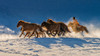 Racing in snow Poster Print - Hua Zhu