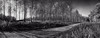 Prentice Road Pano BW Poster Print - Rachel Lee