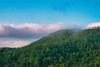 Smokey Morning 2 Poster Print - Will Malone