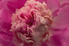 Boom Poster Print - Richard Urbanski