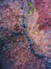 Signal Mountain Aerial Poster Print - Will Malone