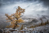 Cold autumn morning in the mountains Poster Print - Anna Pakutina