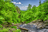 Waterfall 7 Poster Print - Rachel Lee