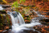 Waterfall 3 Poster Print - Rachel Lee