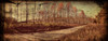 Prentice Road Pano Vintage Poster Print - Rachel Lee