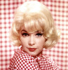 The Nutty Professor, Stella Stevens, 1963 Poster Print
