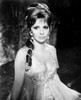 Cervantes,, Gina Lollobrigida, 1967 Poster Print Cervantes,, Gina Lollobrigida, 1967 Poster Print