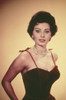 Sophia Loren, Circa 1950S Poster Print