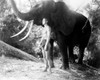 Tarzan Escapes, Johnny Weissmuller, 1936 Poster Print